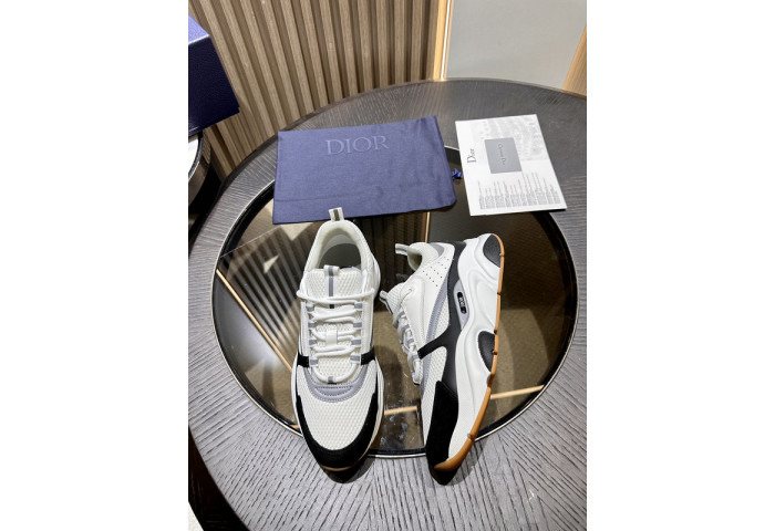 Dior B22 SNEAKER