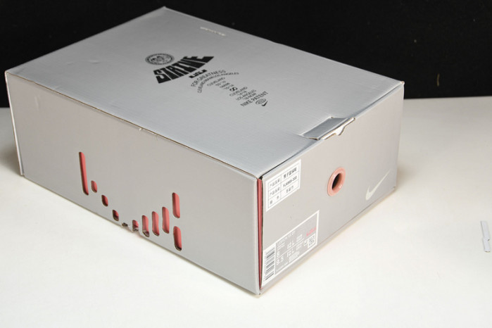 nike lebron 20 stocking stuffer fj4955-300