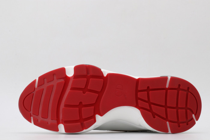 D*or b22 sneakers